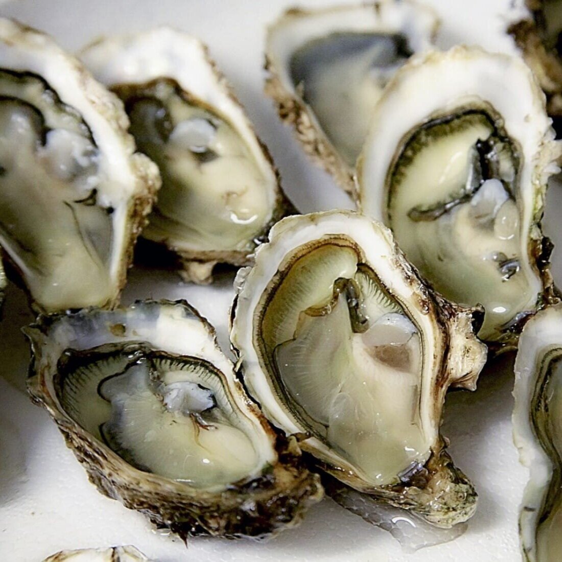 oysters-1504255200-0%402x.jpg